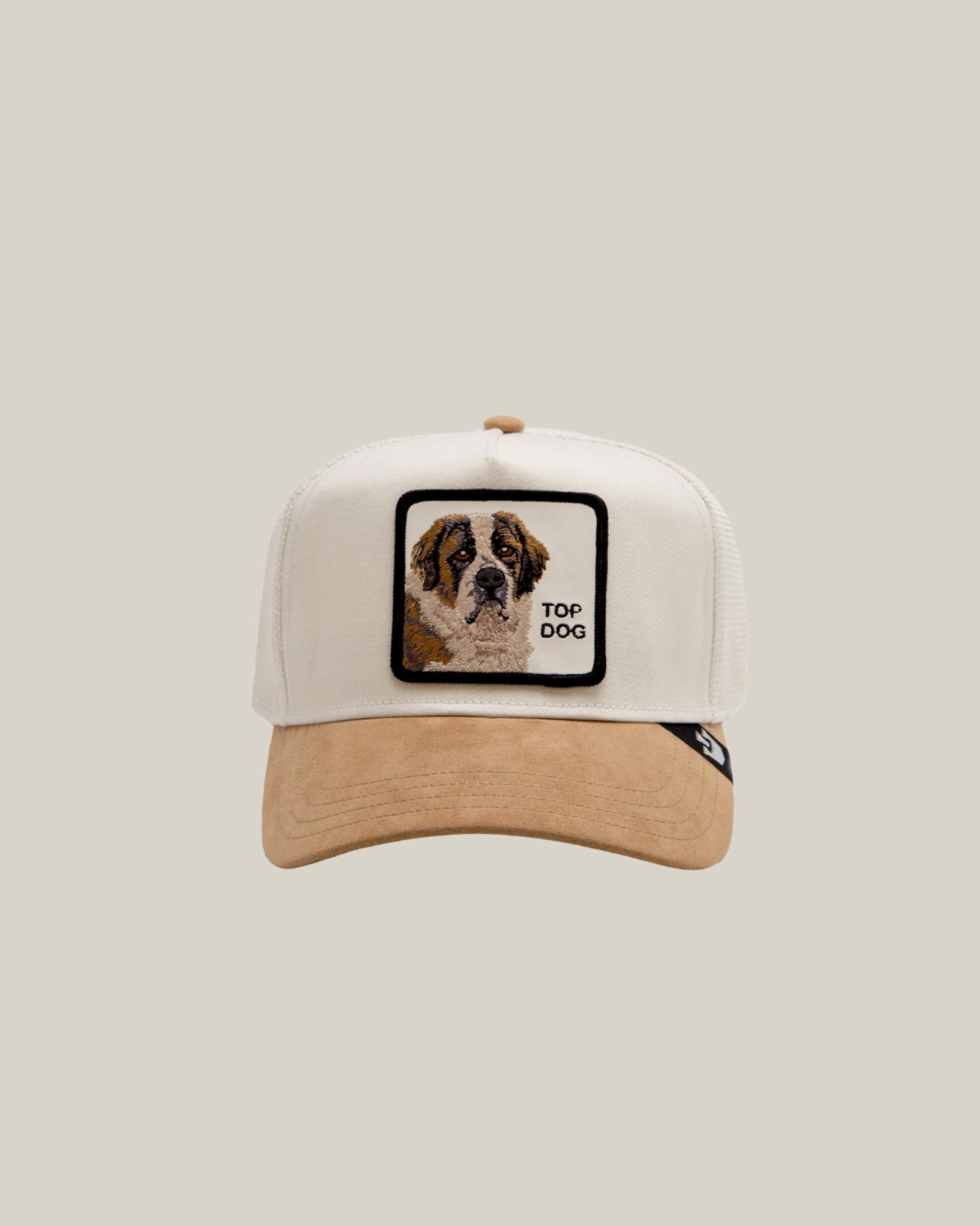 The Suede St. Bernard